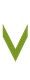 Scroll to bottom